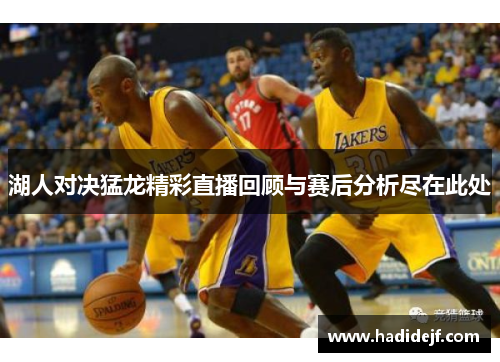 湖人对决猛龙精彩直播回顾与赛后分析尽在此处